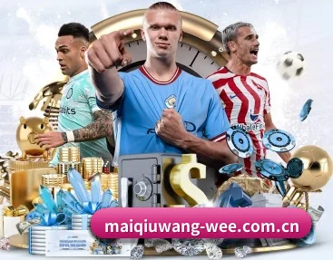 平台简介 - 体育资讯内容服务(maiqiuwang)