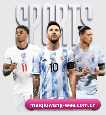 买球网 APP | maiqiuwang